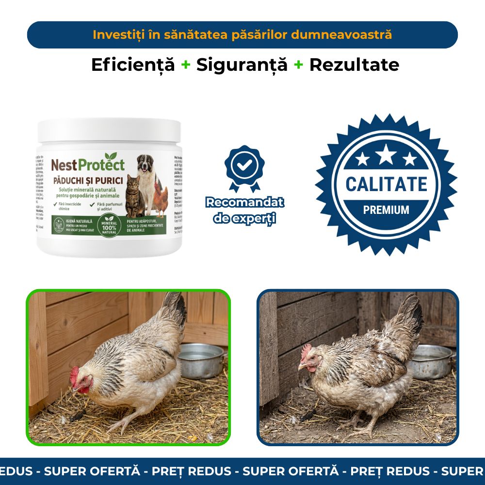 Nest Protect - Protecție Păsări