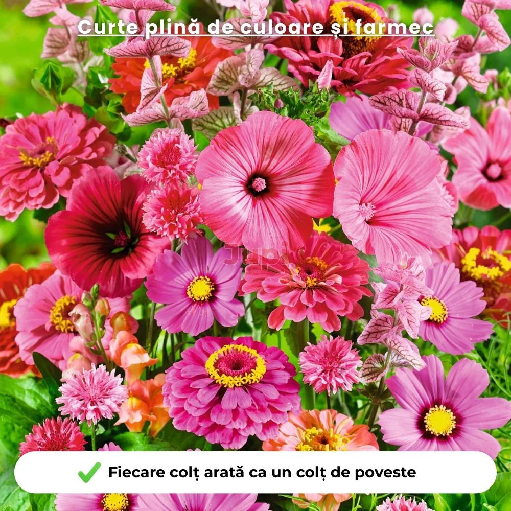 Mix Semințe Flori Vara