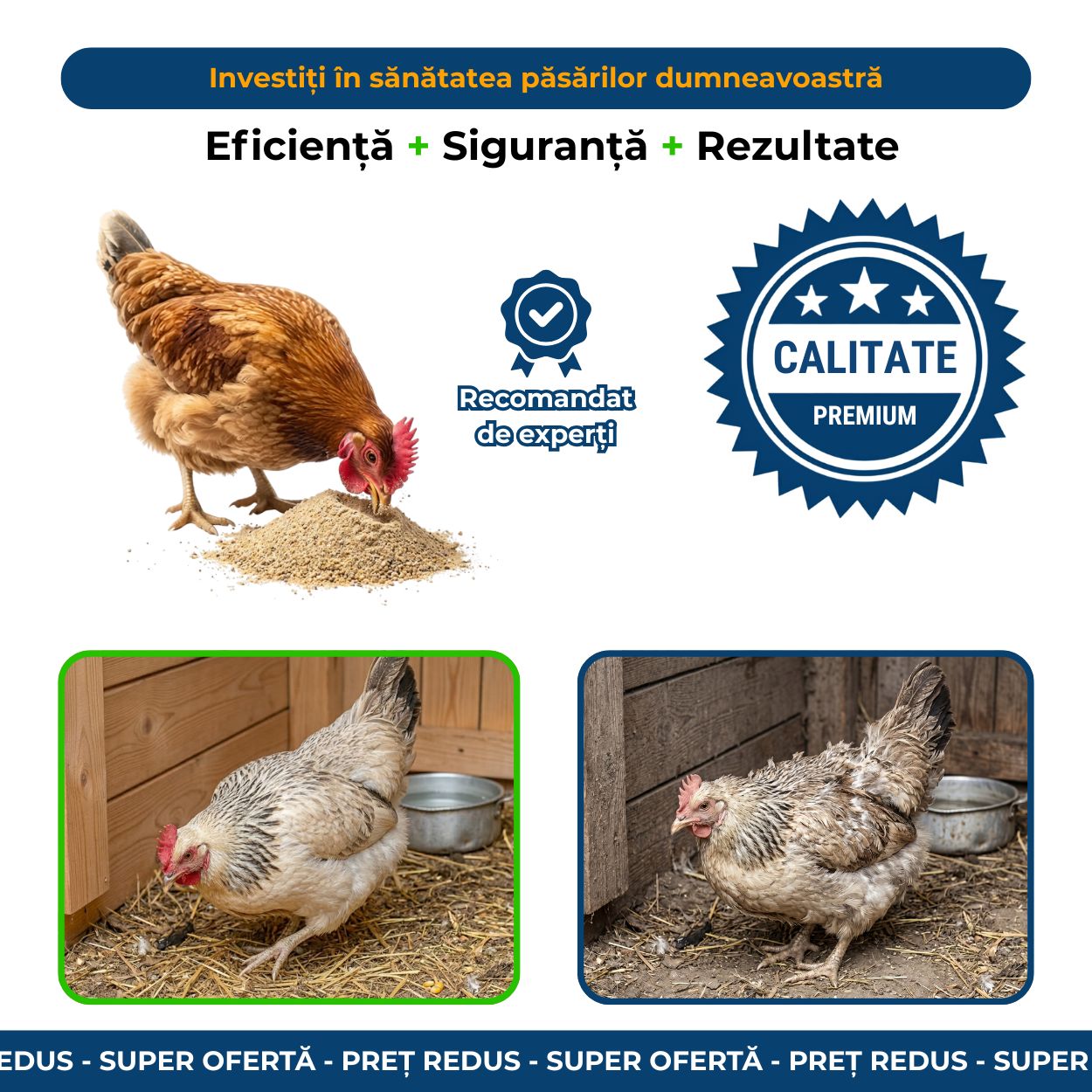 Protecție Păsări