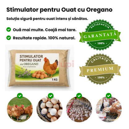 Stimulator Ouat