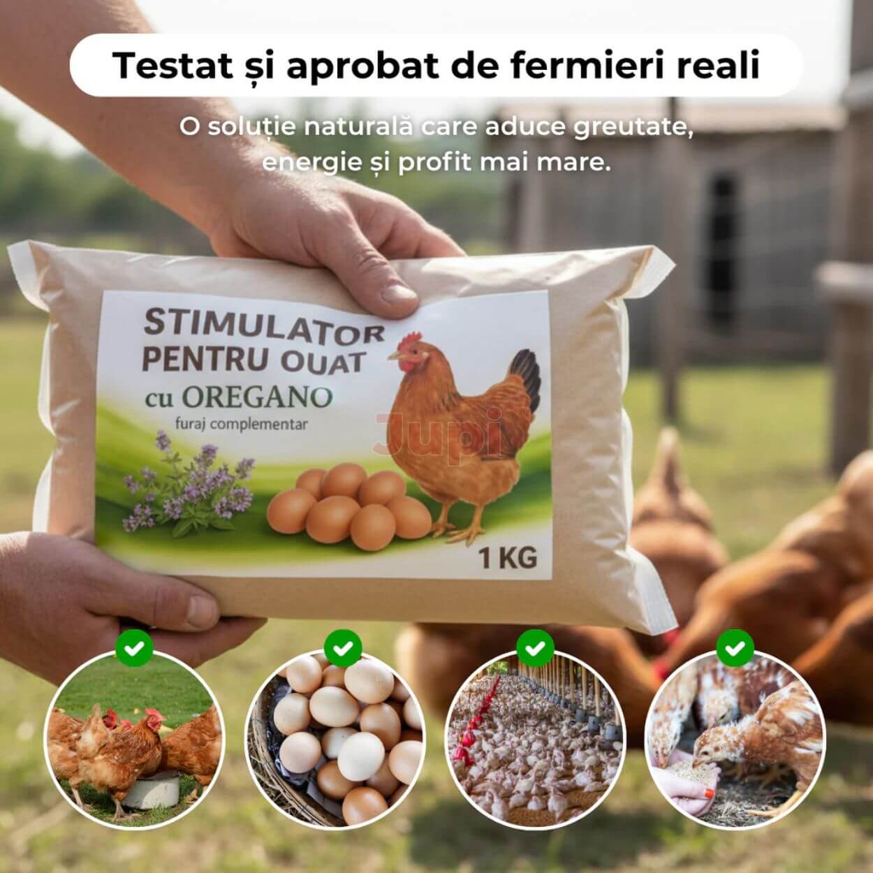 Stimulator Ouat