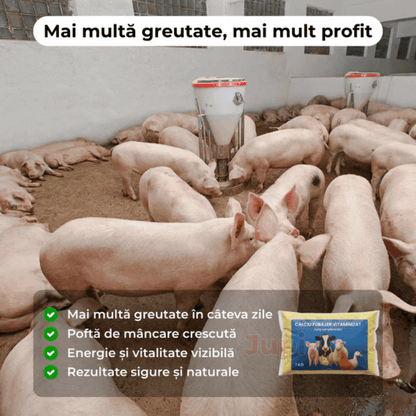 Aditiv Calciu Îngrășare Animale